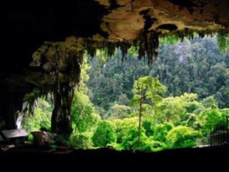 Cave Exploration