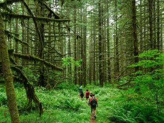 Ecotourism