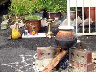 Pongal
